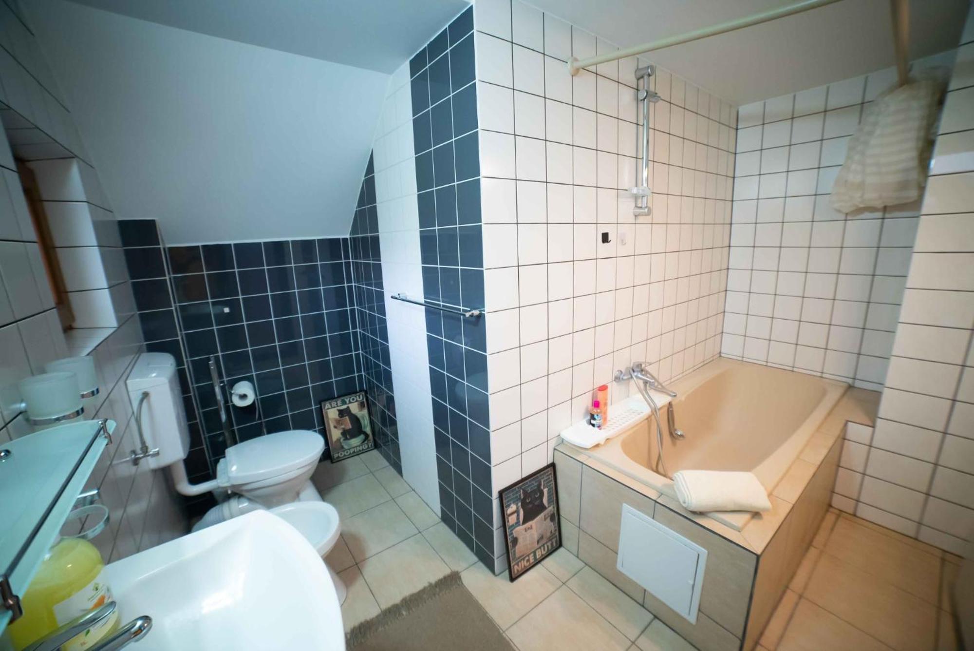 Full-House Si Gradina In Bucovina, Lisaura Villa Exterior photo